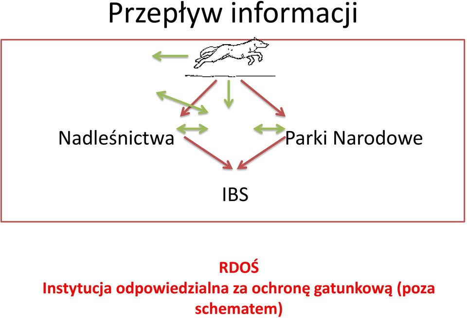 IBS RDOŚ Instytucja