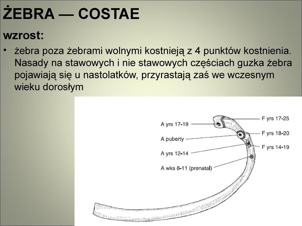 Nasady na stawowych i nie stawowych częściach guzka