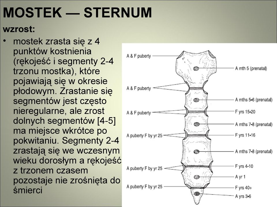 Zrastanie się segmentów jest często nieregularne, ale zrost dolnych segmentów [4-5] ma miejsce