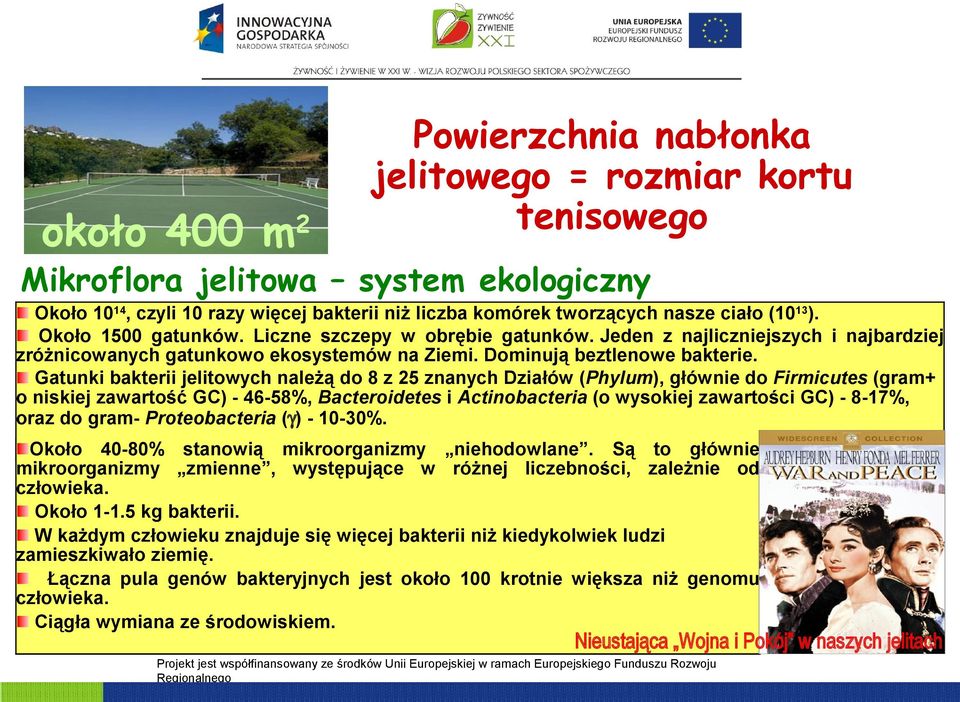 Gatunki bakterii jelitowych należą do 8 z 25 znanych Działów (Phylum), głównie do Firmicutes (gram+ o niskiej zawartość GC) - 46-58%, Bacteroidetes i Actinobacteria (o wysokiej zawartości GC) -