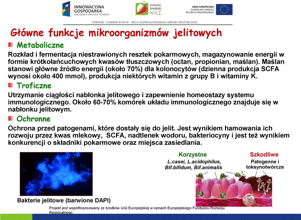 Troficzne Utrzymanie ciągłości nabłonka jelitowego i zapewnienie homeostazy systemu immunologicznego. Około 60-70% komórek układu immunologicznego znajduje się w nabłonku jelitowym.