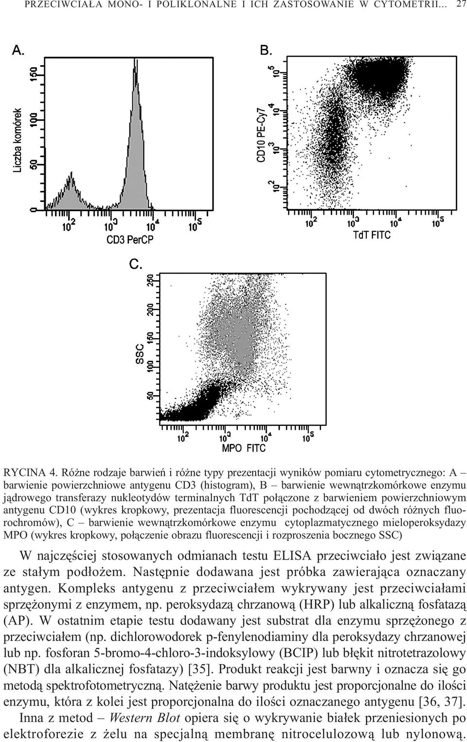 nukleotydów terminalnych TdT po³¹czone z barwieniem powierzchniowym antygenu CD10 (wykres kropkowy, prezentacja fluorescencji pochodz¹cej od dwóch ró nych fluorochromów), C barwienie