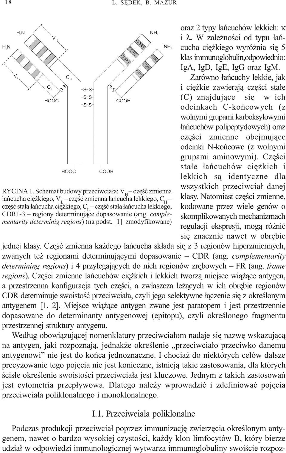 determinuj¹ce dopasowanie (ang. complementarity determinig regions) (na podst. [1] zmodyfikowane) oraz 2 typy ³añcuchów lekkich: κ i λ.