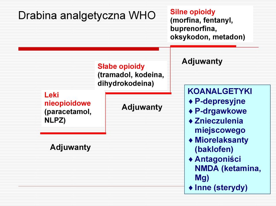 kodeina, dihydrokodeina) Adjuwanty Adjuwanty KOANALGETYKI P-depresyjne P-drgawkowe