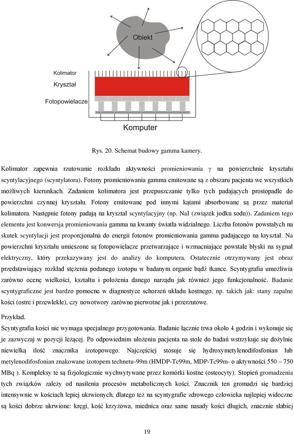 Zadaniem kolimatora jest przepuszczanie tylko tych padających prostopadle do powierzchni czynnej kryształu. Fotony emitowane pod innymi kątami absorbowane są przez materiał kolimatora.