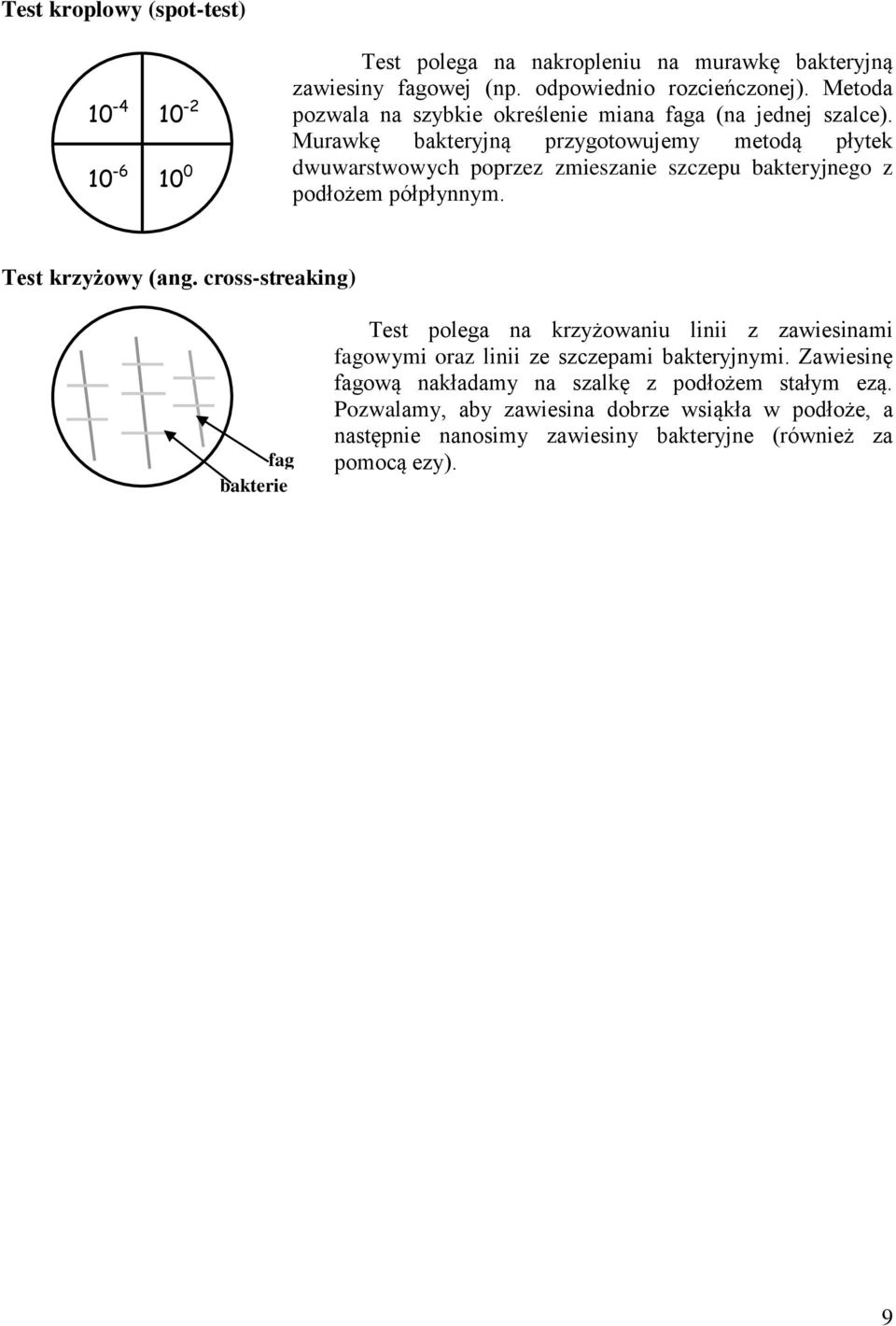 Murawkę bakteryjną przygotowujemy metodą płytek dwuwarstwowych poprzez zmieszanie szczepu bakteryjnego z podłożem półpłynnym. Test krzyżowy (ang.