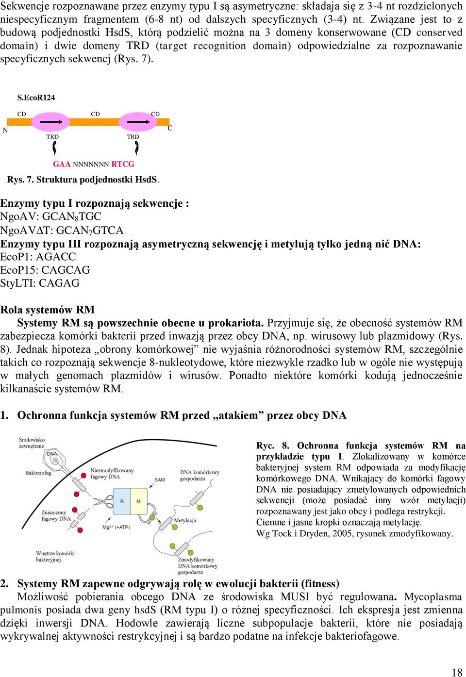 specyficznych sekwencj (Rys. 7). S.EcoR124 I CD CD CD N TRD TRD C GAA NNNNNNN RTCG Rys. 7. Struktura podjednostki HsdS.