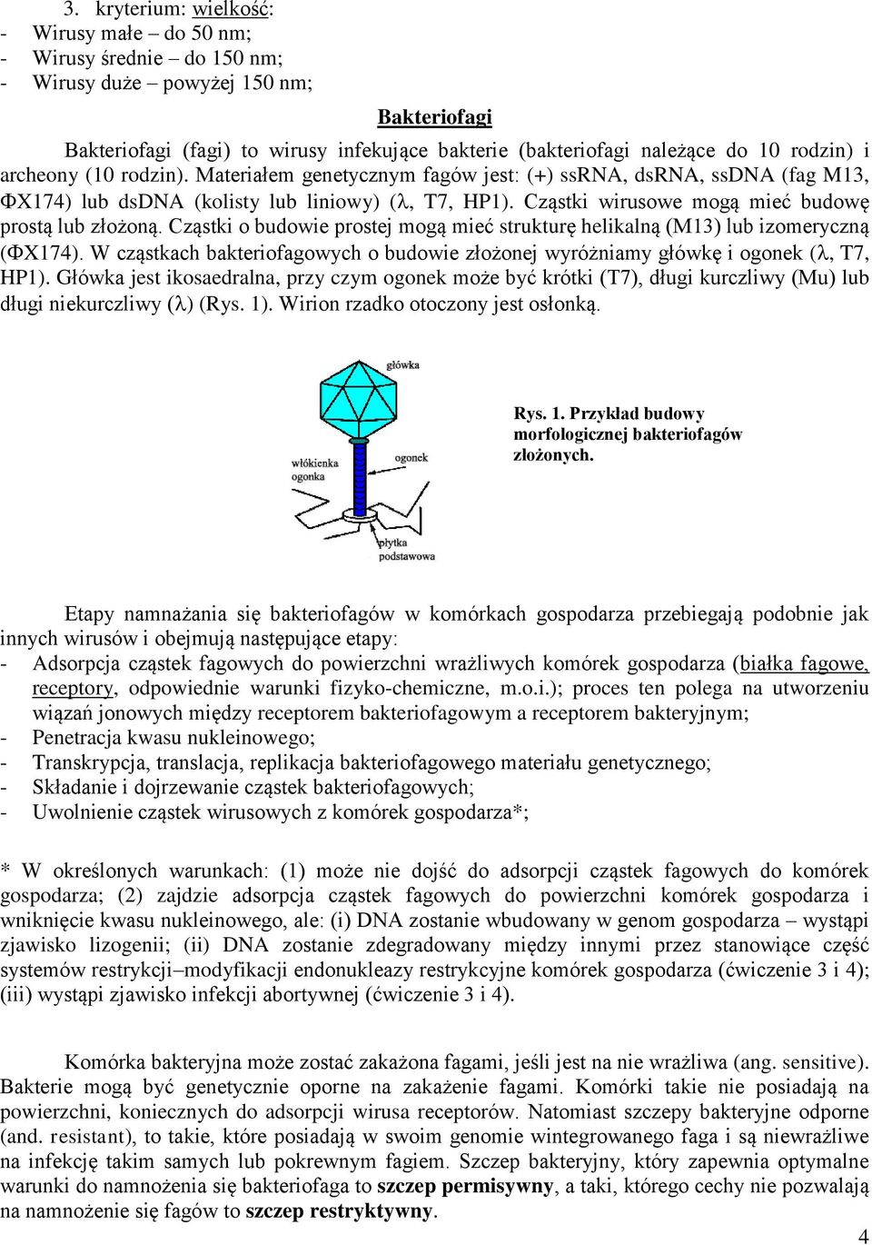 Cząstki wirusowe mogą mieć budowę prostą lub złożoną. Cząstki o budowie prostej mogą mieć strukturę helikalną (M13) lub izomeryczną ( X174).