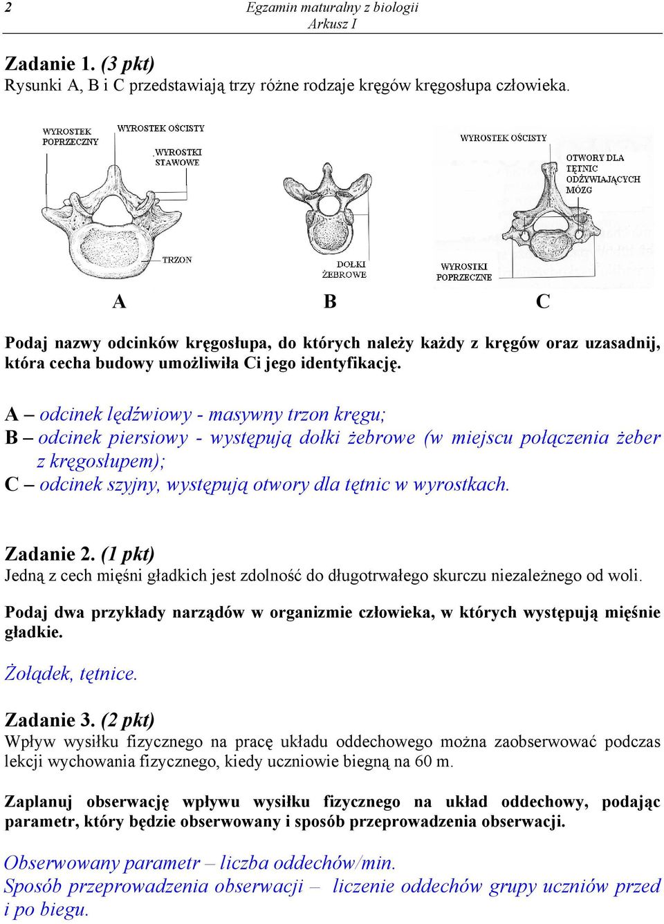 A odcinek lędźwiowy - masywny trzon kręgu; B odcinek piersiowy - występują dołki żebrowe (w miejscu połączenia żeber z kręgosłupem); C odcinek szyjny, występują otwory dla tętnic w wyrostkach.