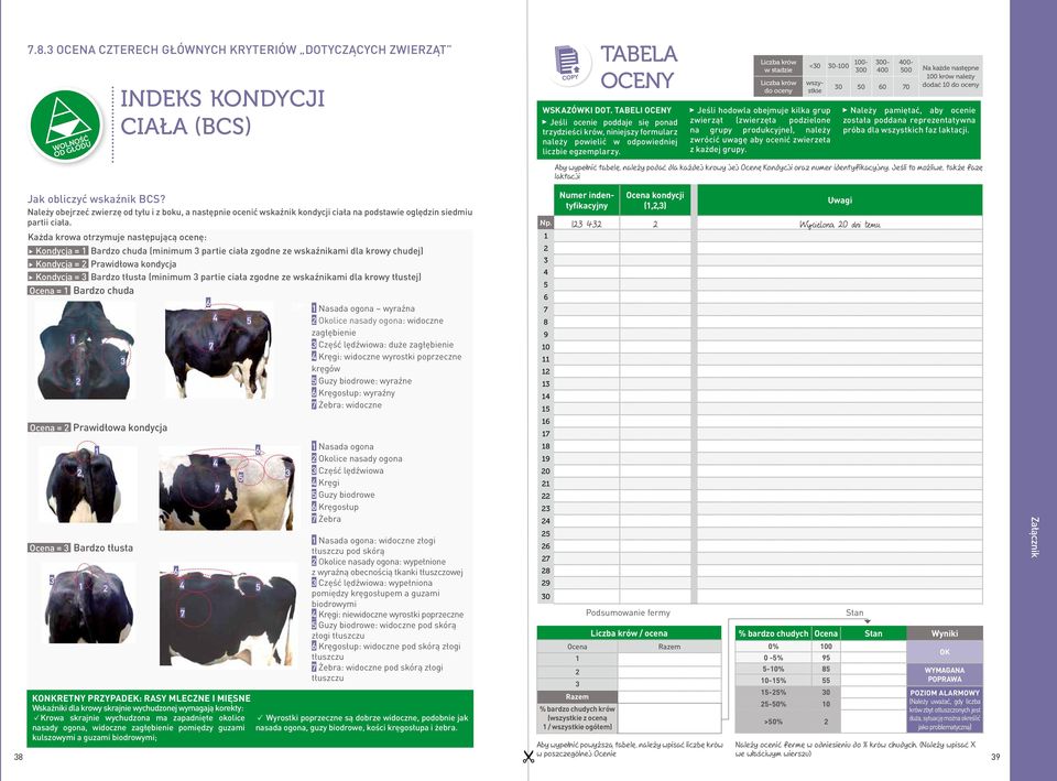 Liczba krów w stadzie Liczba krów do oceny <30 30-100 100-300 wszystkie Jeśli hodowla obejmuje kilka grup zwierząt (zwierzęta podzielone na grupy produkcyjne), należy zwrócić uwagę aby ocenić