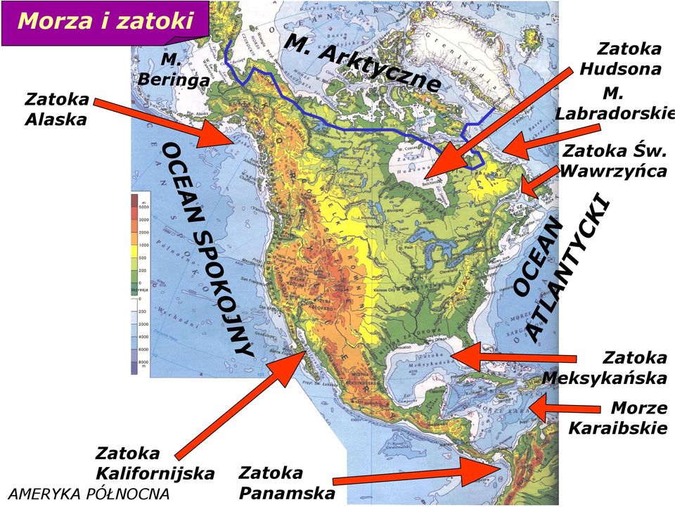 Labradorskie OCEAN SPOKOJNY Zatoka Św.