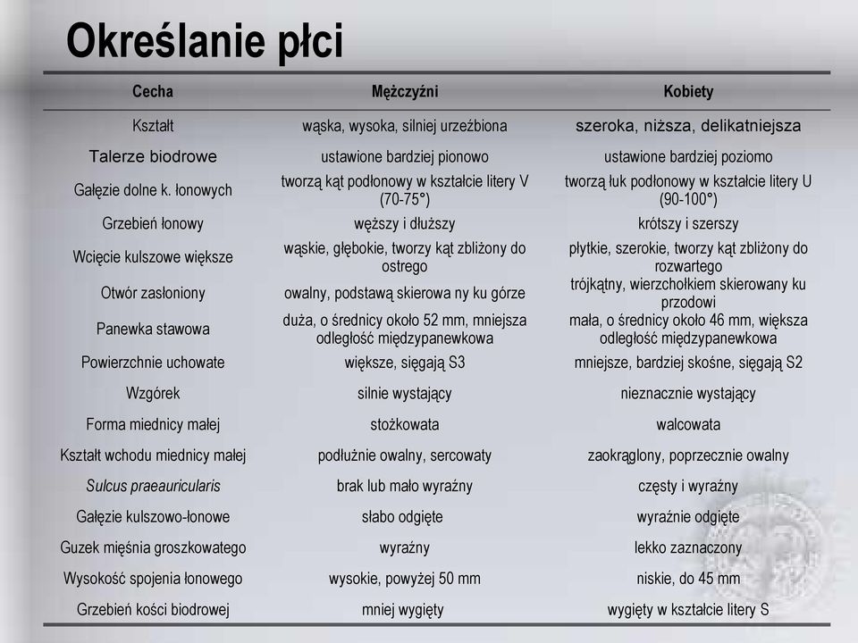 kulszowo-łonowe Guzek mięśnia groszkowatego Wysokość spojenia łonowego Grzebień kości biodrowej wąska, wysoka, silniej urzeźbiona ustawione bardziej pionowo tworzą kąt podłonowy w kształcie litery V