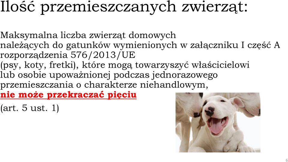 fretki), które mogą towarzyszyć właścicielowi lub osobie upoważnionej podczas