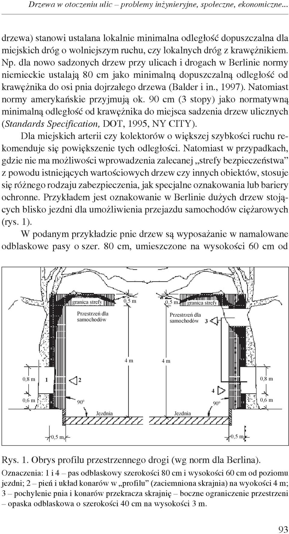 dla nowo sadzonych drzew przy ulicach i drogach w Berlinie normy niemieckie ustalają 80 cm jako minimalną dopuszczalną odległość od krawężnika do osi pnia dojrzałego drzewa (Balder i in., 1997).
