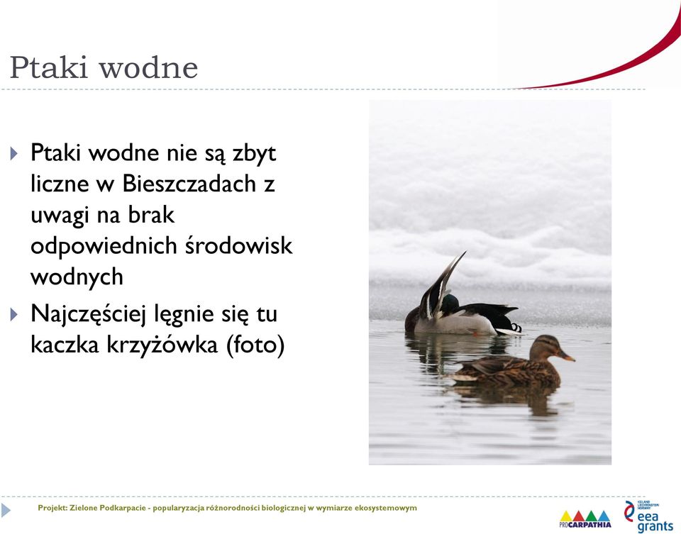 odpowiednich środowisk wodnych