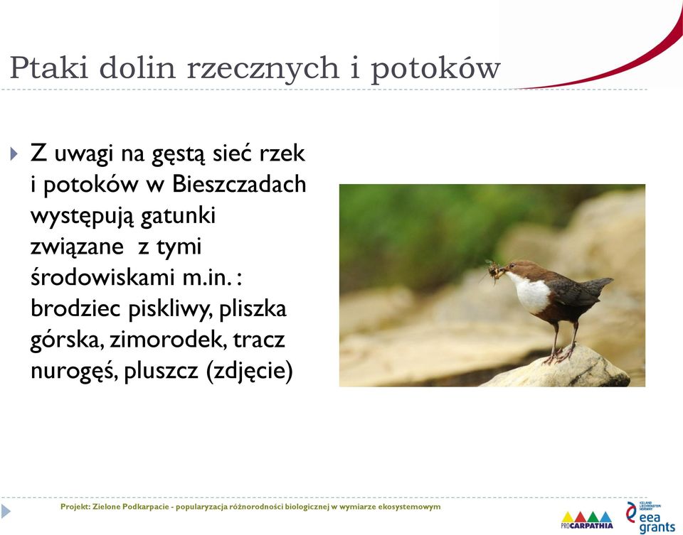 związane z tymi środowiskami m.in.