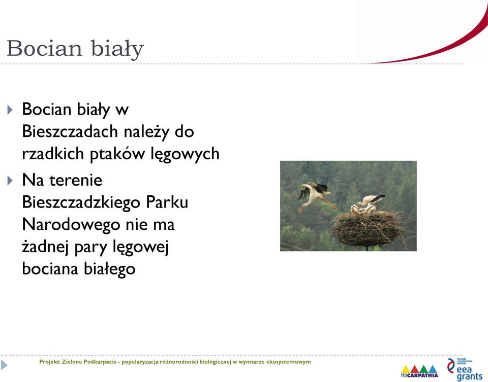 terenie Bieszczadzkiego Parku Narodowego