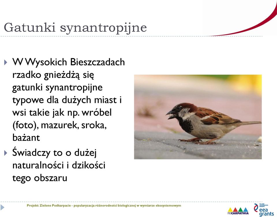 miast i wsi takie jak np.