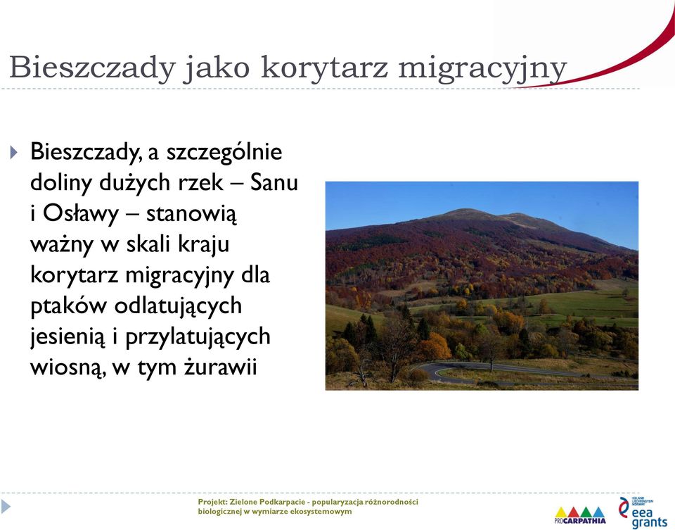 ptaków odlatujących jesienią i przylatujących wiosną, w tym żurawii Projekt:
