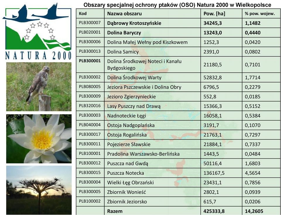 Środkowej Noteci i Kanału Bydgoskiego 21180,5 0,7101 PLB300002 Dolina Środkowej Warty 52832,8 1,7714 PLB080005 Jeziora Pszczewskie i Dolina Obry 6796,5 0,2279 PLB300009 Jezioro Zgierzynieckie 552,8