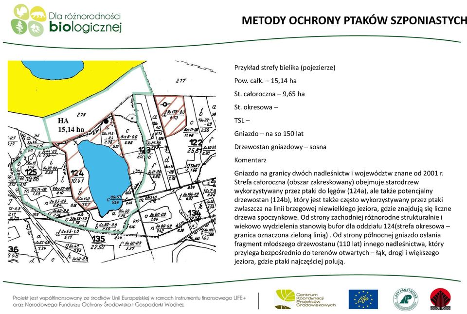 Strefa całoroczna (obszar zakreskowany) obejmuje starodrzew wykorzystywany przez ptaki do lęgów (124a), ale także potencjalny drzewostan (124b), który jest także często wykorzystywany przez ptaki