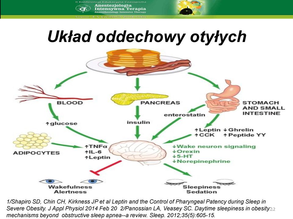 adiponektyny miażdżyca 1/Shapiro SD, Chin CH, Kirkness JP et al Leptin and the Control of Pharyngeal Patency during Sleep in Severe Obesity.