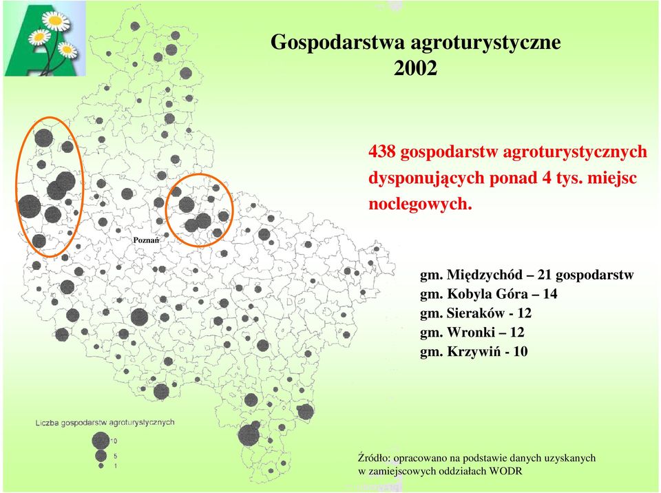 Międzychód 21 gospodarstw gm. Kobyla Góra 14 gm. Sieraków - 12 gm.