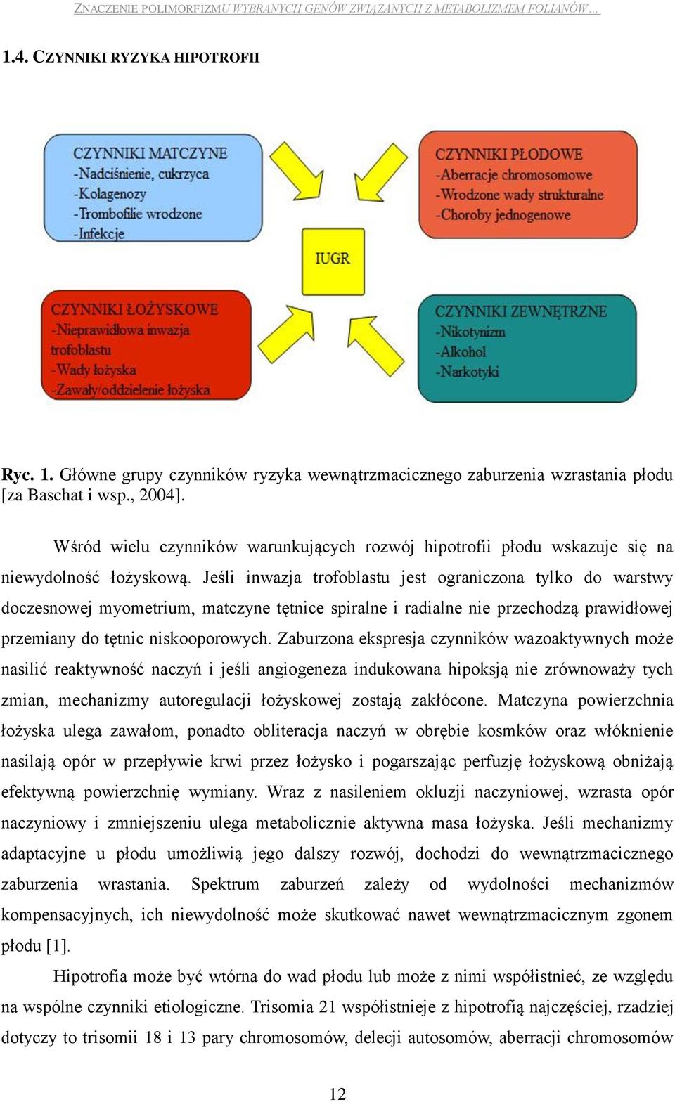 Jeśli inwazja trofoblastu jest ograniczona tylko do warstwy doczesnowej myometrium, matczyne tętnice spiralne i radialne nie przechodzą prawidłowej przemiany do tętnic niskooporowych.