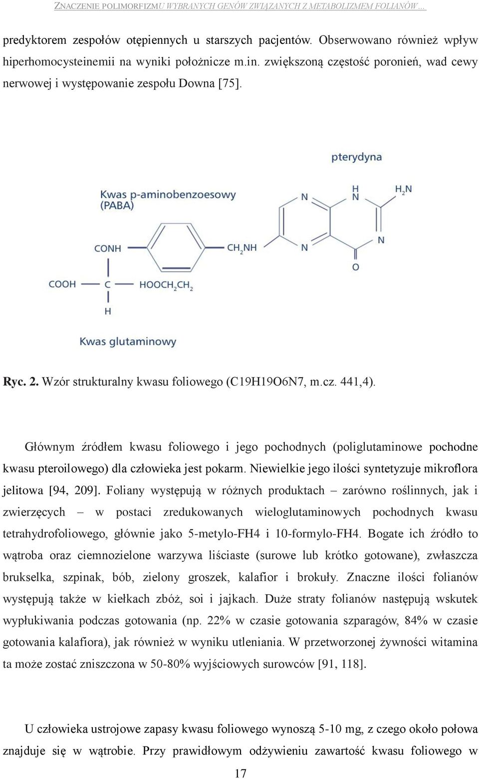 Niewielkie jego ilości syntetyzuje mikroflora jelitowa [94, 209].