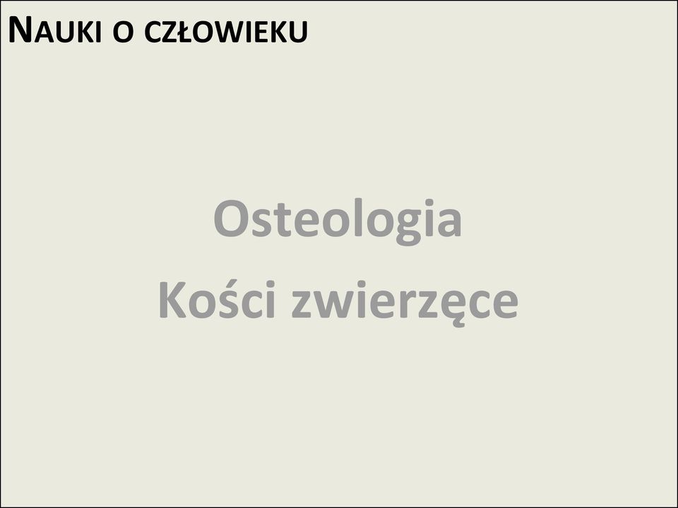 Osteologia