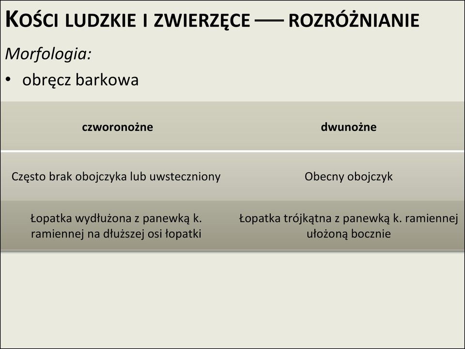 wydłużona z panewką k.