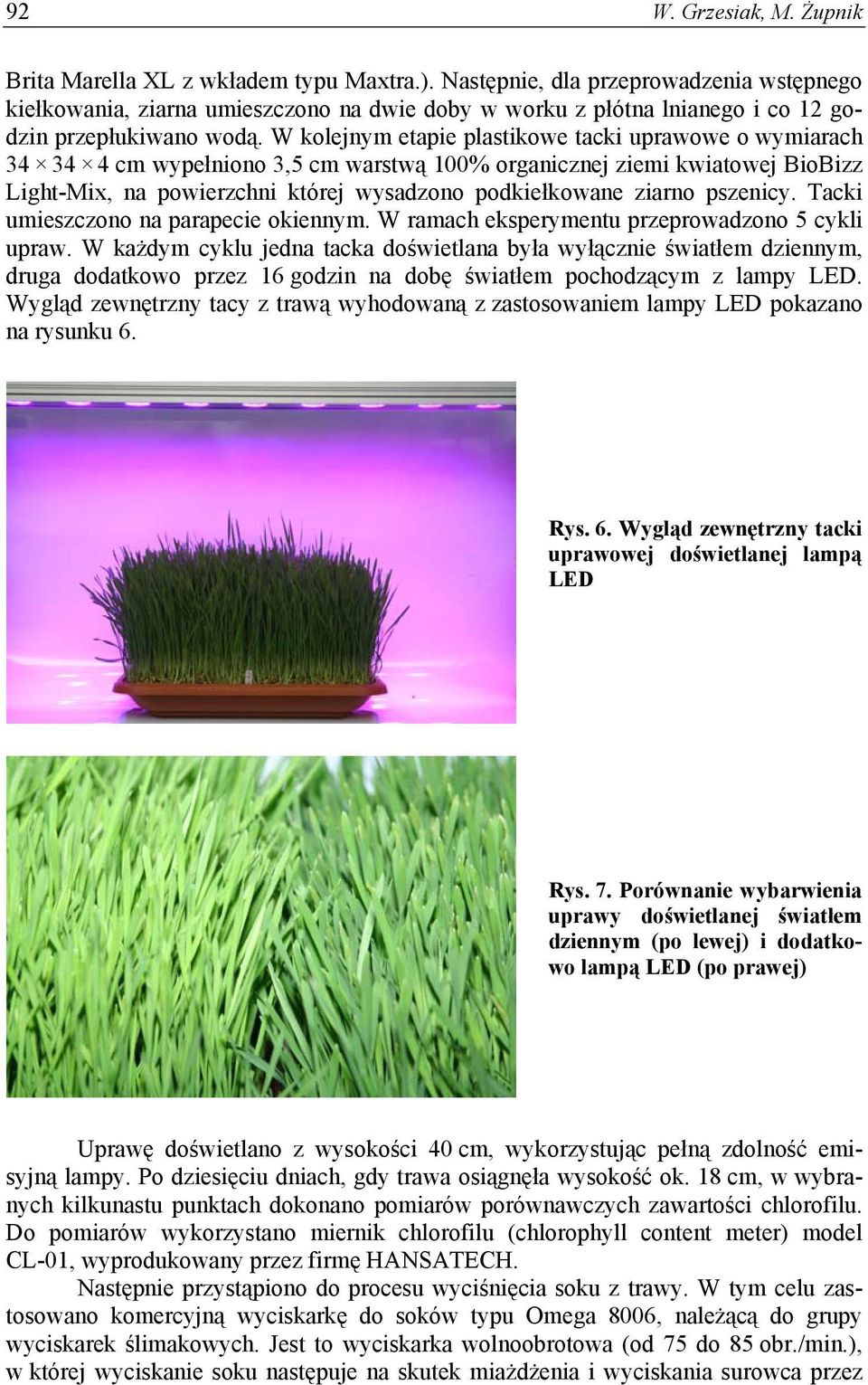 W kolejnym etapie plastikowe tacki uprawowe o wymiarach 34 34 4 cm wypełniono 3,5 cm warstwą 100% organicznej ziemi kwiatowej BioBizz Light-Mix, na powierzchni której wysadzono podkiełkowane ziarno