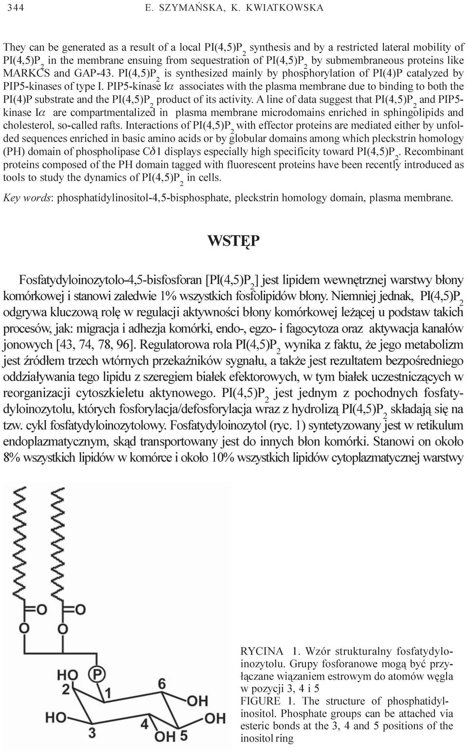 GAP-43. is synthesized mainly by phosphorylation of PI(4)P catalyzed by PIP5-kinases of type I.