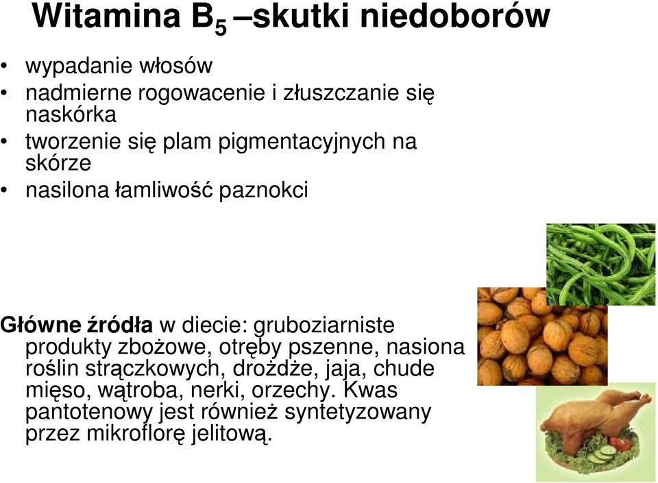 gruboziarniste produkty zbożowe, otręby pszenne, nasiona roślin strączkowych, drożdże, jaja, chude