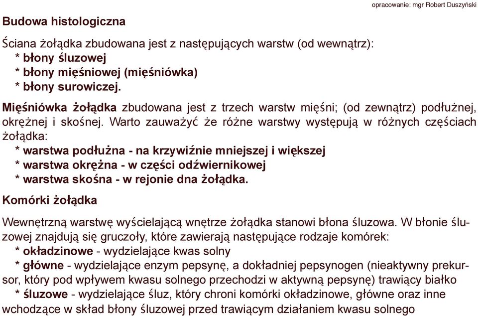 Warto zauważyć że różne warstwy występują w różnych częściach żołądka: * warstwa podłużna - na krzywiźnie mniejszej i większej * warstwa okrężna - w części odźwiernikowej * warstwa skośna - w rejonie