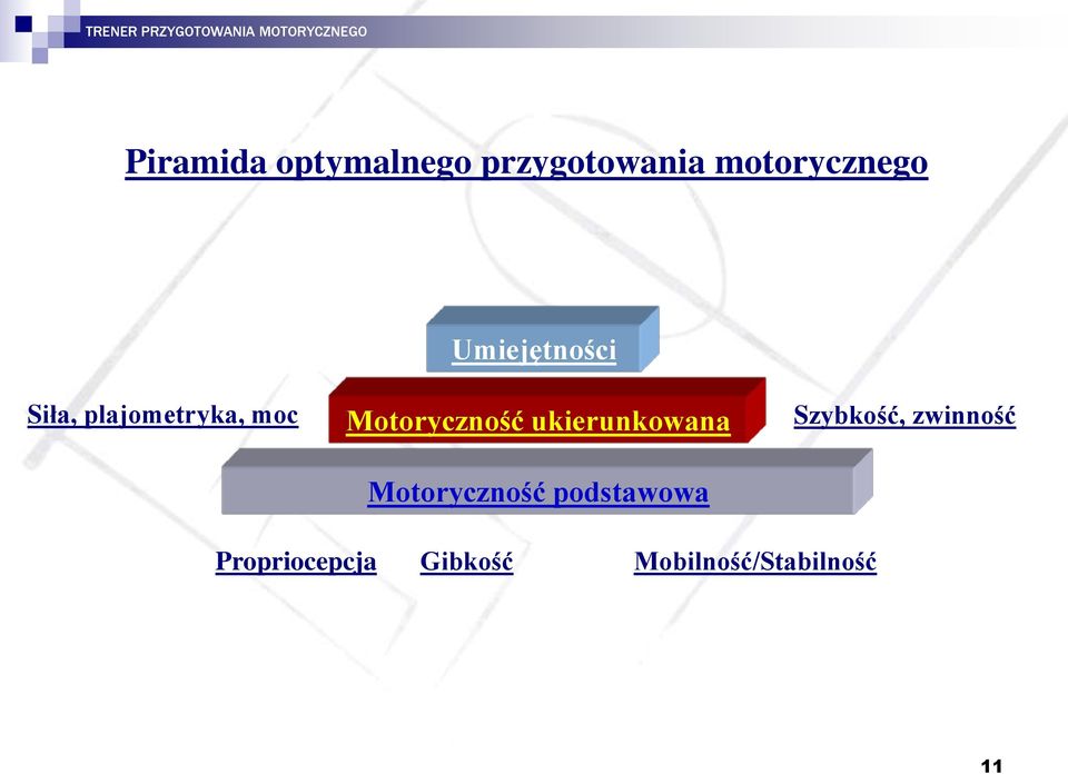 ukierunkowana Motoryczność podstawowa Szybkość,