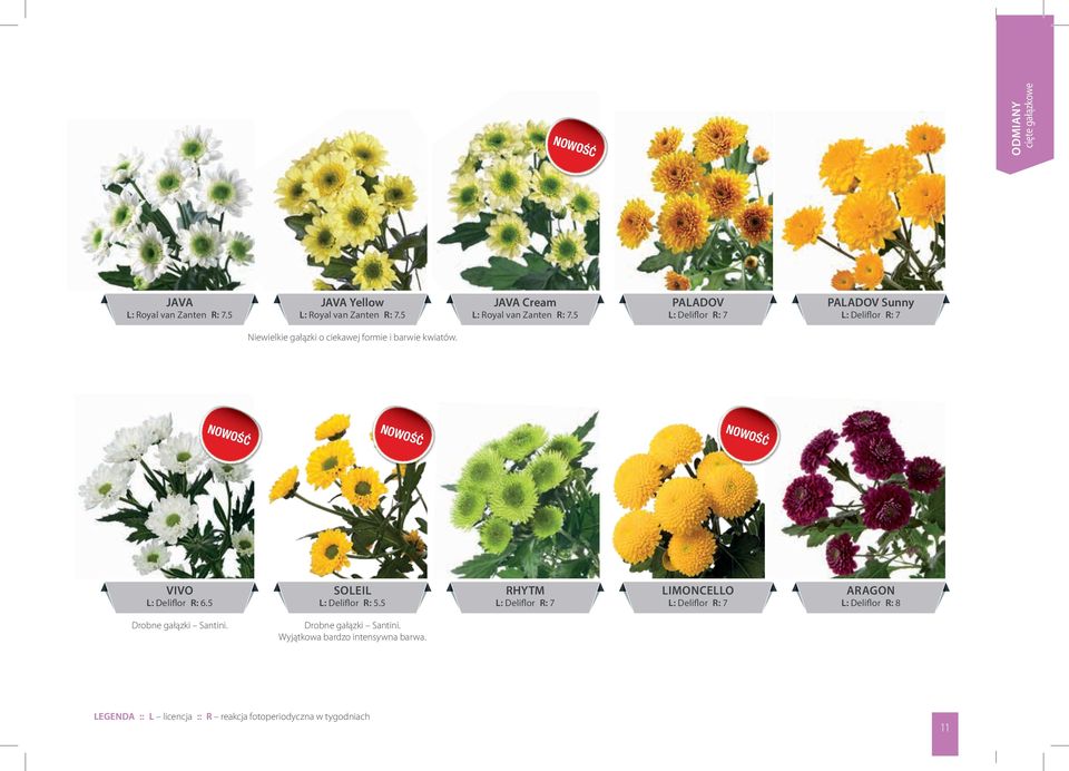 5 PALADOV L: Deliflor R: 7 PALADOV Sunny L: Deliflor R: 7 Niewielkie gałązki o ciekawej formie i barwie kwiatów.