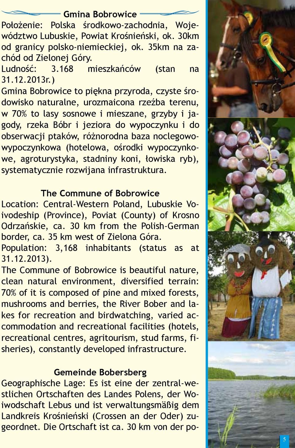 ) Gmina Bobrowice to piękna przyroda, czyste środowisko naturalne, urozmaicona rzeźba terenu, w 70% to lasy sosnowe i mieszane, grzyby i jagody, rzeka Bóbr i jeziora do wypoczynku i do obserwacji