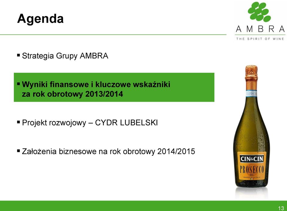 obrotowy 2013/2014 Projekt rozwojowy CYDR