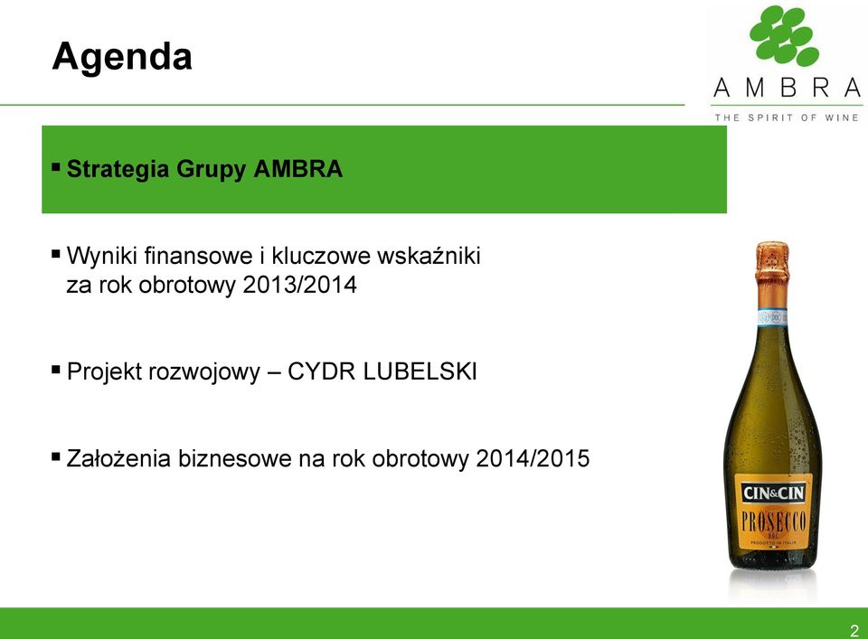 obrotowy 2013/2014 Projekt rozwojowy CYDR