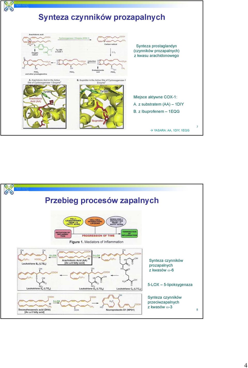 z Ibuprofenem 1EQG YASARA: AA, 1DIY, 1EQG 7 Przebieg procesów zapalnych Synteza