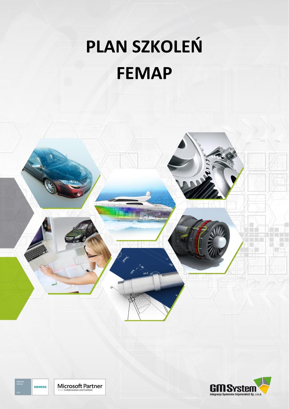 FEMAP