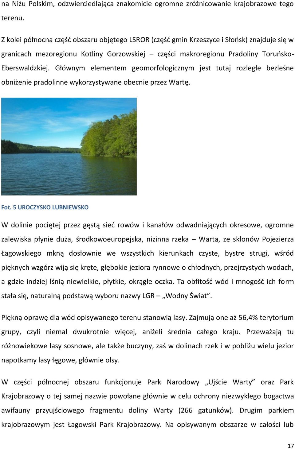 Głównym elementem geomorfologicznym jest tutaj rozległe bezleśne obniżenie pradolinne wykorzystywane obecnie przez Wartę. Fot.