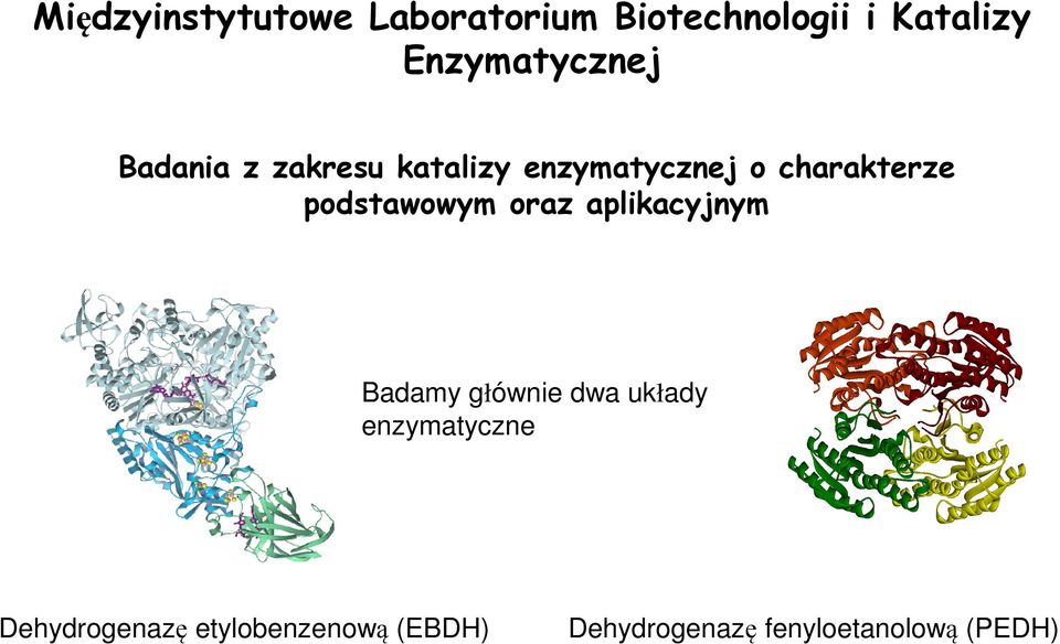 charakterze podstawowym oraz aplikacyjnym Badamy głównie dwa