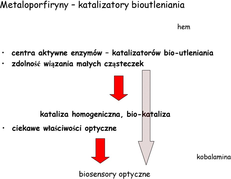 wiązania małych cząsteczek kataliza homogeniczna,