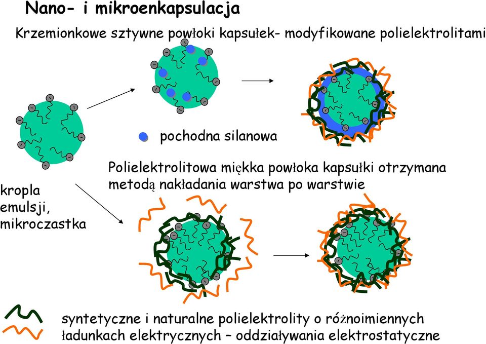 miękka powłoka kapsułki otrzymana metodą nakładania warstwa po warstwie syntetyczne i