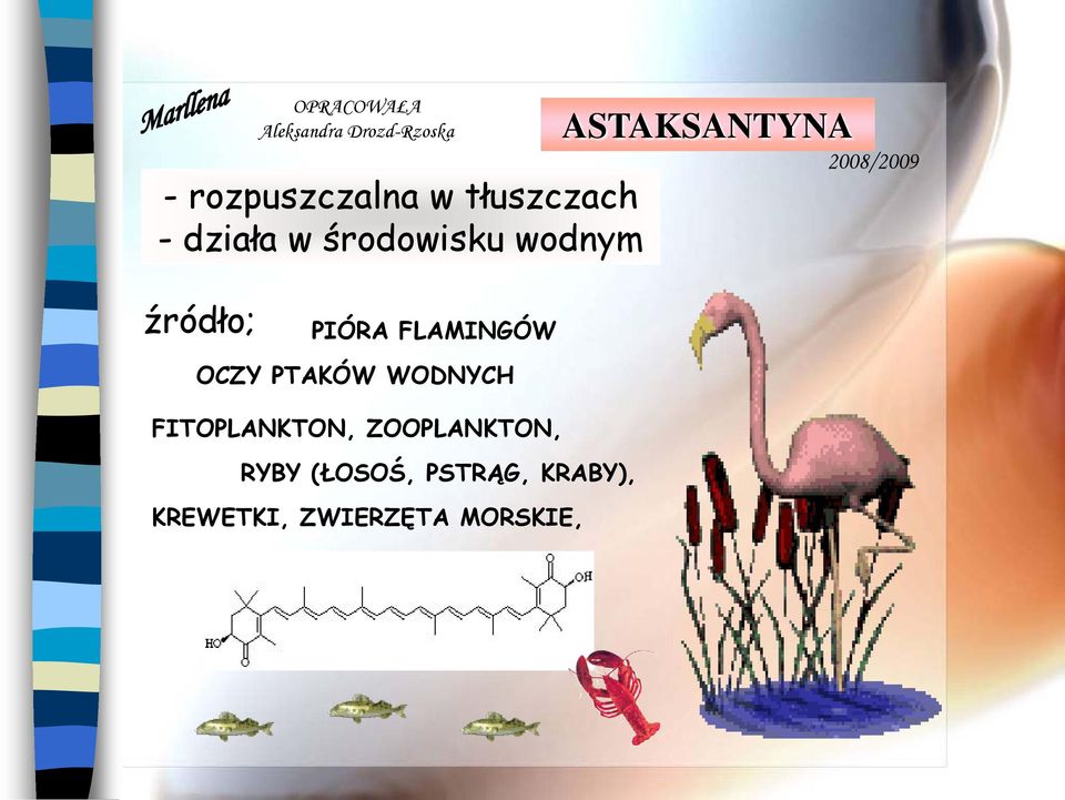 FLAMINGÓW OCZY PTAKÓW WODNYCH FITOPLANKTON,