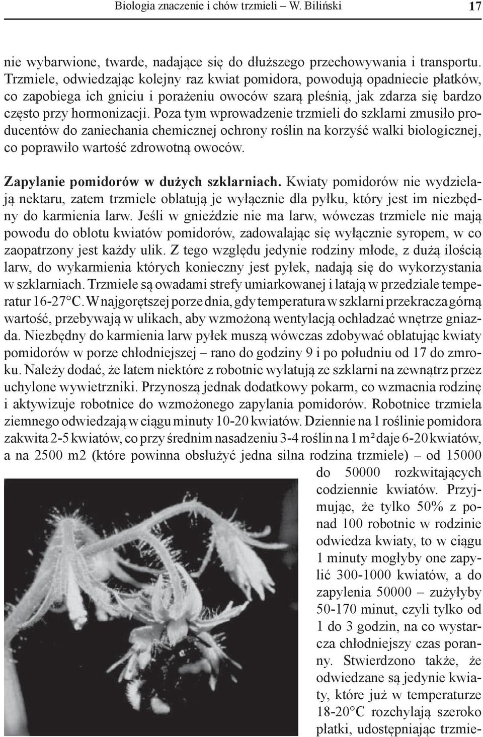 Poza tym wprowadzenie trzmieli do szklarni zmusiło producentów do zaniechania chemicznej ochrony roślin na korzyść walki biologicznej, co poprawiło wartość zdrowotną owoców.