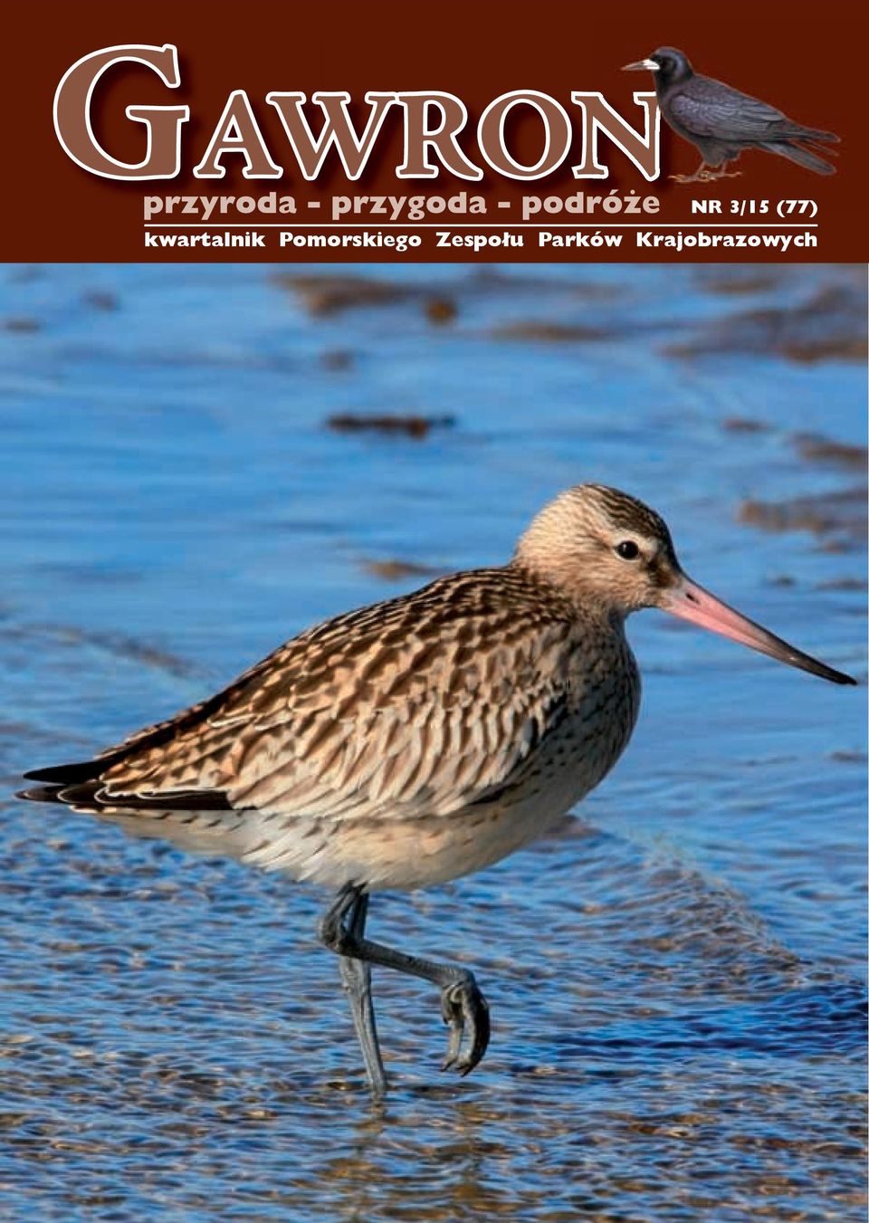 Pomorskiego