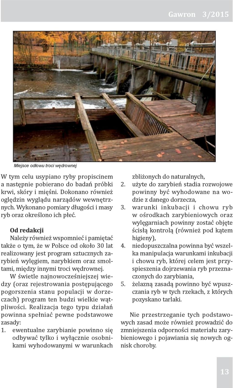 Od redakcji Należy również wspomnieć i pamiętać także o tym, że w Polsce od około 30 lat realizowany jest program sztucznych zarybień wylęgiem, narybkiem oraz smoltami, między innymi troci wędrownej.